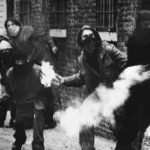 bologna2.jpg