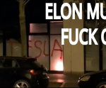 335175.png