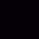 wildcatb.gif